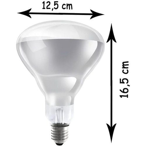 Ledvance Infrared BR40 Clear 250W E27 AMPUL