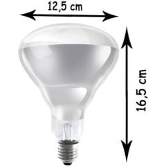 Ledvance Infrared BR40 Clear 250W E27 AMPUL