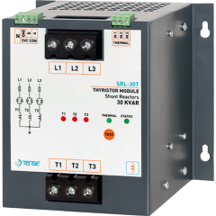 TENSE - Svc Endüktif Yük Sürücüsü 30kV 85-260V SRL-30T