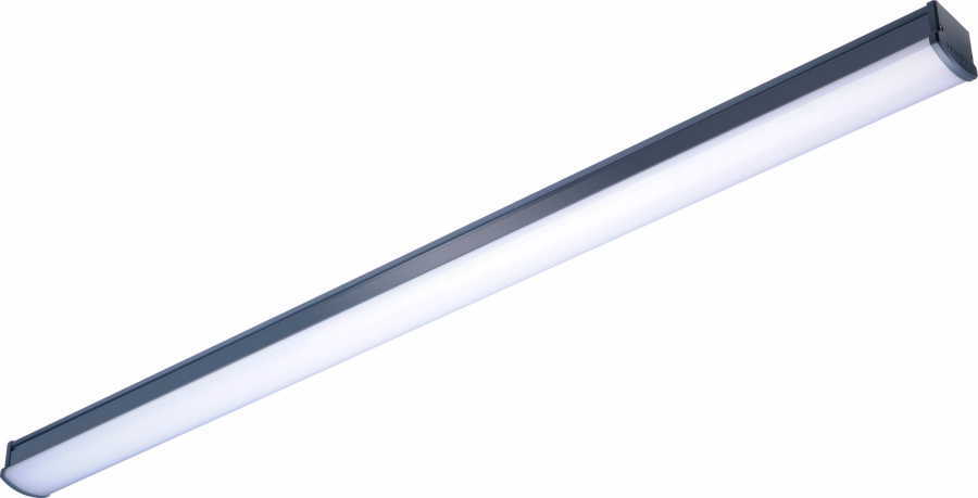PHILIPS - Led Etanj Armatür WT066C CW LED45 L1500 PSU TB